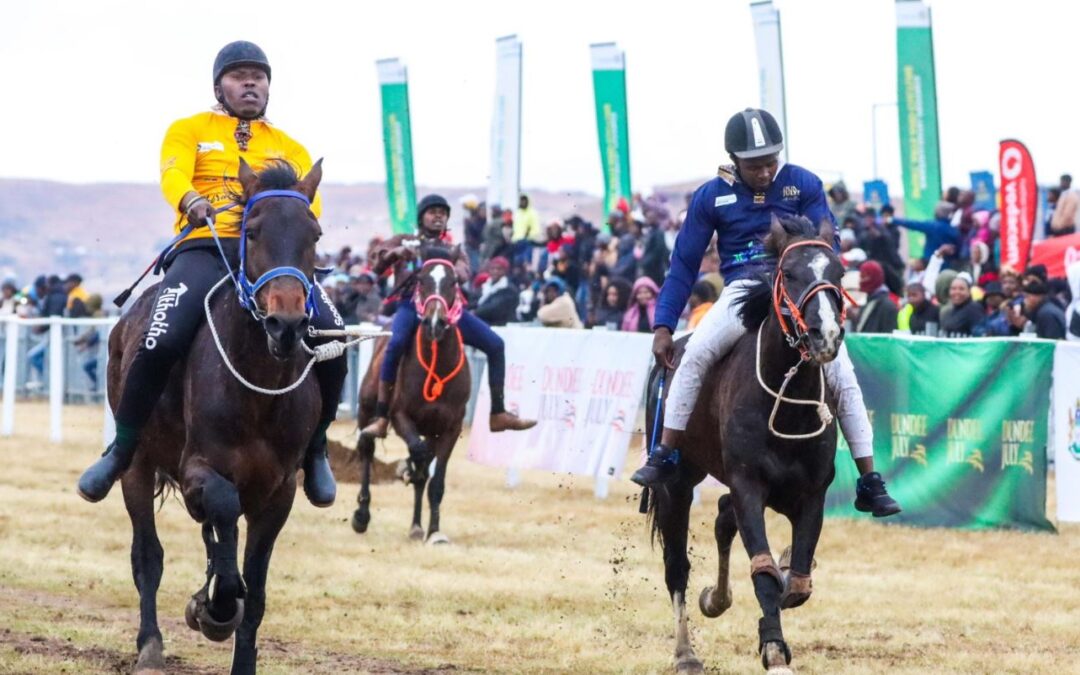 Intaka ibekelwe amazolo kwiDundee July
