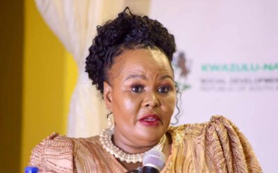 I-NFP imangalela usomlomo wesishayamthetho saseKZN ngolukaMbali Shinga