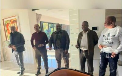 IMadlanga idalule iBig Five eqhuba amabhizinisi ‘ngobugebengu’