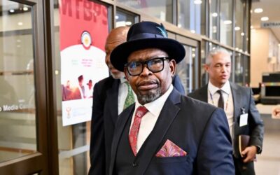 Angaphandle kweGNU ashaya amakhala ‘ngesaphulelo sikaphethiloli nodizili’