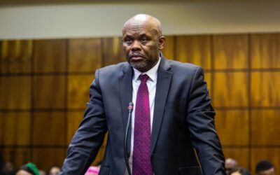 USibiya uchitha eyokuboshwa esendaweni yabadansa benqunu